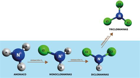 diagrama molecular de cloraminas