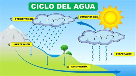 Diagrama del ciclo de vida de un filtro de agua de nevera