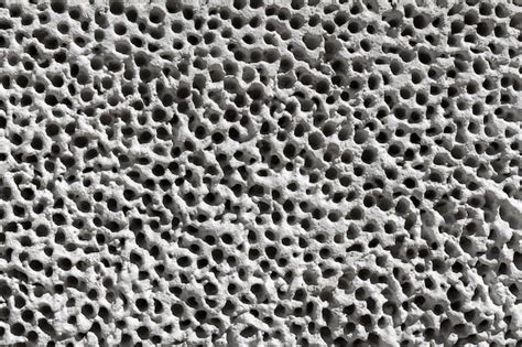 Microscopía de un filtro cerámico mostrando su estructura porosa