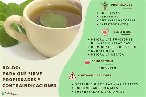 Infusión de Boldo Servida en Taza