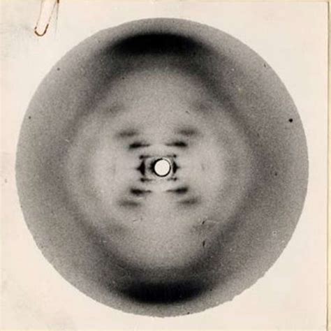 La famosa Fotografía 51