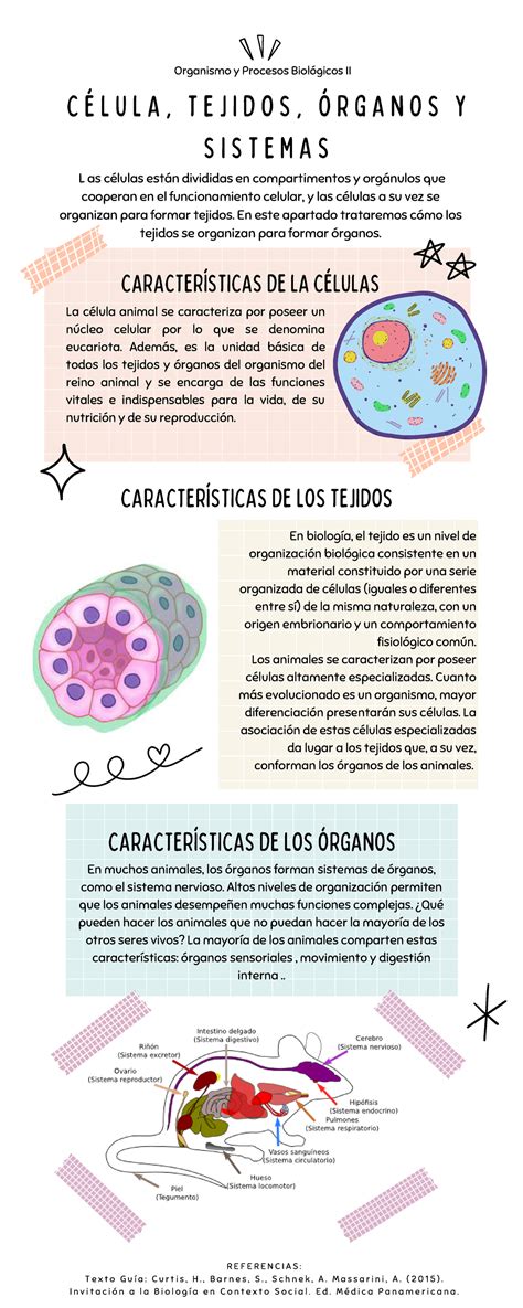 Infografía comparando la estructura de tejidos tradicionales y no tejidos