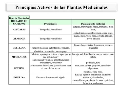 Diagrama mostrando la estructura molecular de algunos principios activos de plantas