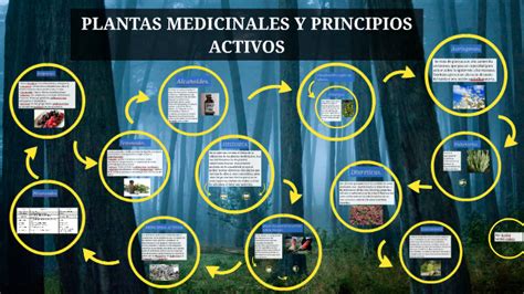 Infografía comparativa de principios activos en plantas comunes