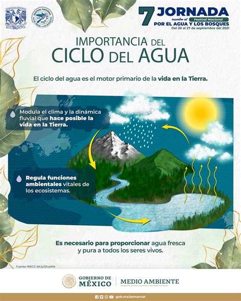 Infografía sobre el ciclo del agua y la importancia de la depuración