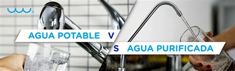 Diagrama comparativo: Agua del grifo vs. Agua purificada