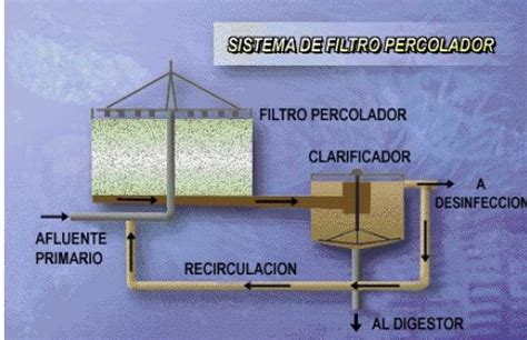 Micrografía de una biopelícula en un medio de filtro percolador