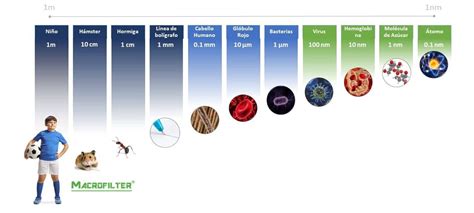 Diagrama que compara el tamaño de diferentes filtros de micras con partículas comunes