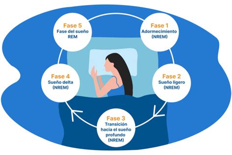 Diagrama del ciclo del sueño