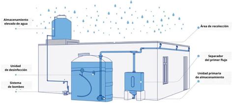 Diagrama de un sistema de recolección y filtrado de agua de lluvia