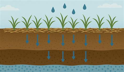 Diagrama de filtración de agua en el suelo