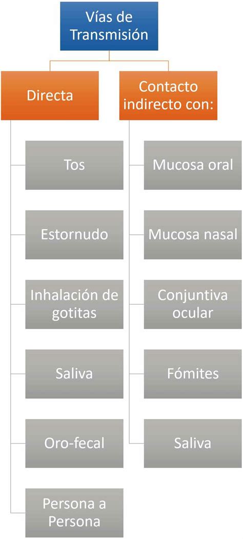 Diagrama ilustrando las vías de transmisión de enfermedades: directa e indirecta