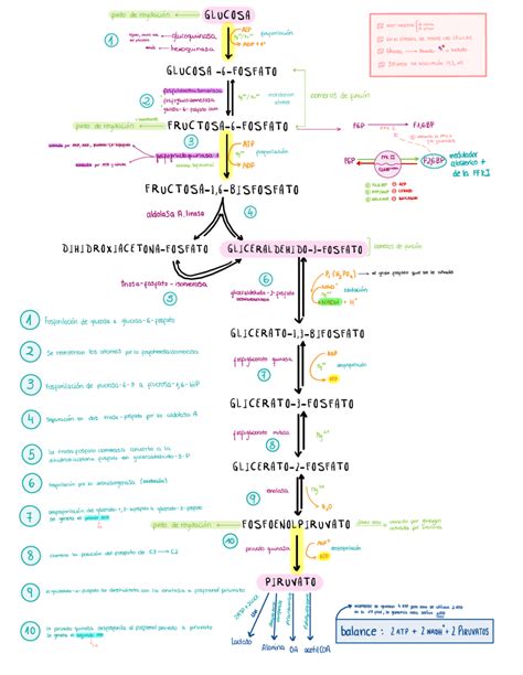 Esquema simplificado de la ubicación típica de un filtro de cabina de automóvil