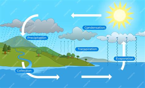 Diagrama del ciclo del agua