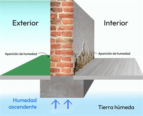 Edificio con señales de humedad