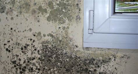 Mancha de humedad y moho en pared