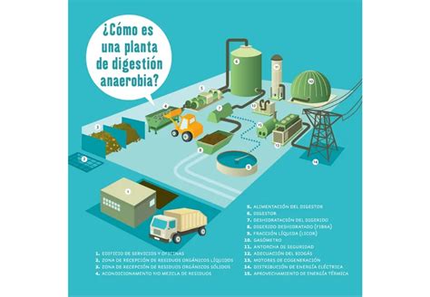 Esquema de la digestión anaerobia de lodos con producción de biogás