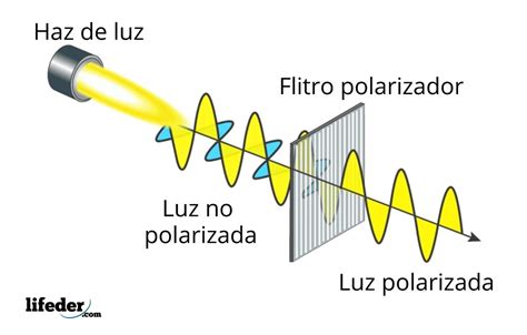 Diagrama explicando la polarización de la luz