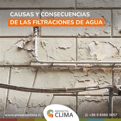 Diagrama de causas comunes de filtraciones de agua