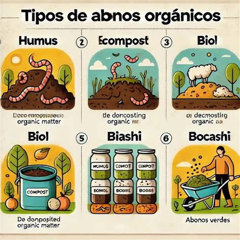 Infografía comparando diferentes tipos de abonos para acuarios: líquidos, en pastillas, con y sin hierro