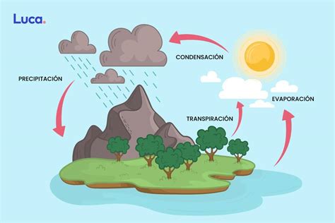 Diagrama del ciclo del agua y sus propiedades