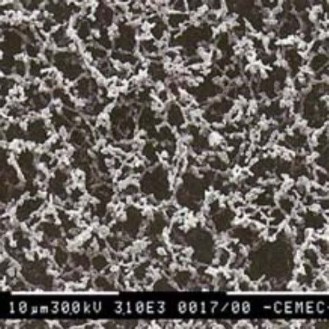 Micrografía de una membrana de acetato de celulosa