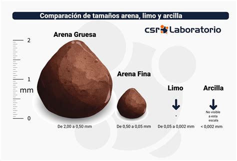 Comparativa del tamaño de partículas (arena, limo, arcilla) con el tamaño de los poros de un filtro.