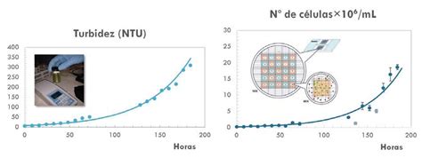 Gráfico mostrando la evolución de la turbidez y la pérdida de carga en un filtro de arena