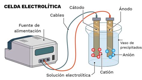 Detalle de la célula electrolítica de un clorador salino