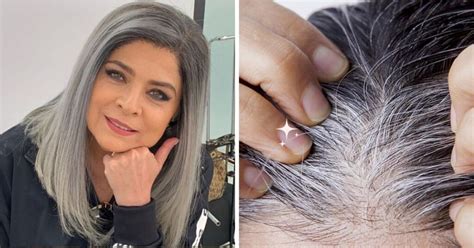 Imagen de un cabello con canas luciendo un tono plateado y brillante