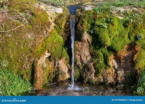 Manantial de agua mineral en un entorno natural