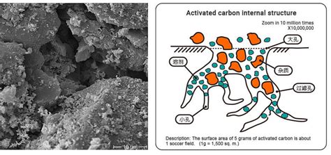 Micrografía de carbón activado mostrando su estructura porosa