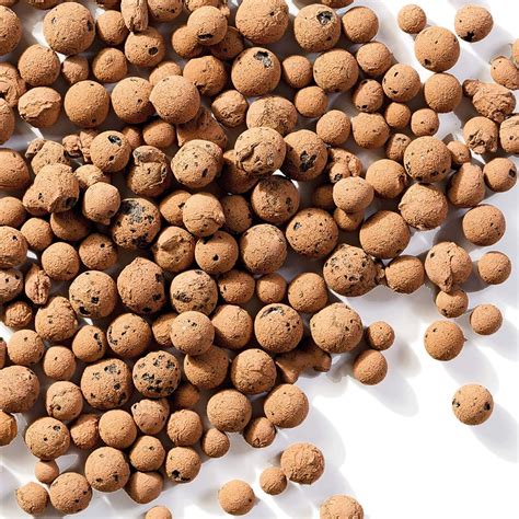 Expanded clay pebbles and volcanic rock for aquarium filters
