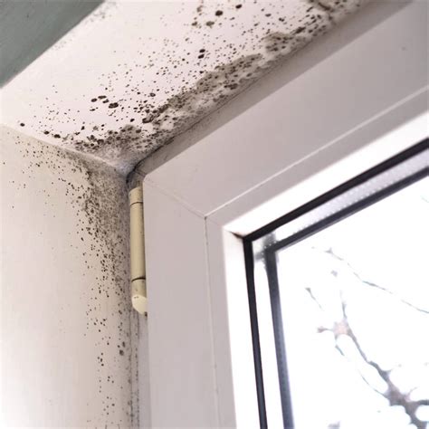 Fachada de edificio con manchas de humedad