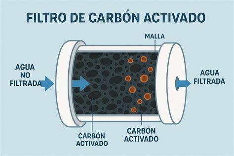 Diagrama de un filtro de carbón activado mostrando su estructura porosa