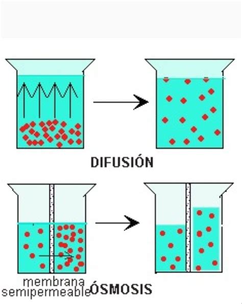 Diagrama ilustrando el proceso de difusión