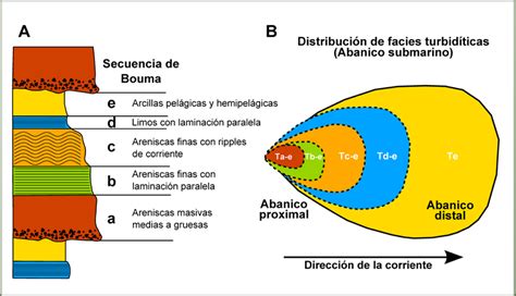 Diagrama de la secuencia de Bouma mostrando las distintas capas de un depósito turbidítico.