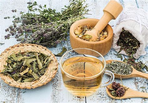 Infusión de hierbas para la menstruación