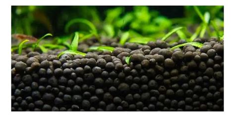 sustrato de acuario con plantas