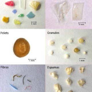 Clasificación de microplásticos encontrados en arena