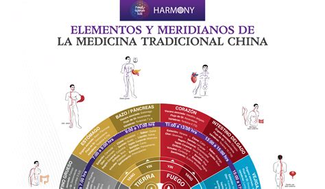 Diagrama comparativo entre la fitoterapia occidental y la Medicina Tradicional China en relación a las plantas depurativas.