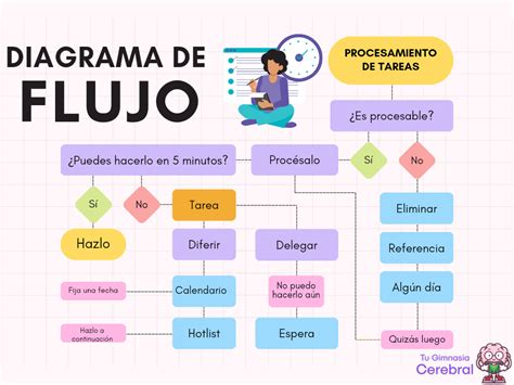 Diagrama de flujo mostrando cómo las plantas de Albosán apoyan la función hepática y digestiva