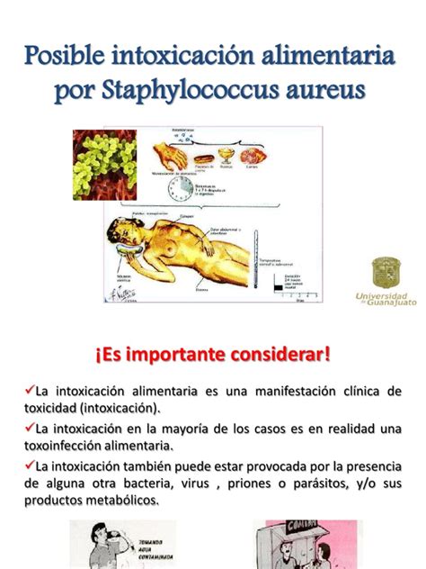 Diagrama del ciclo de intoxicación alimentaria por Staphylococcus aureus