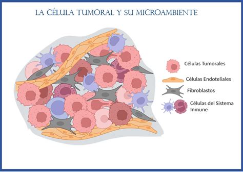 Diagrama conceptual de las células madre tumorales y su interacción con el microambiente