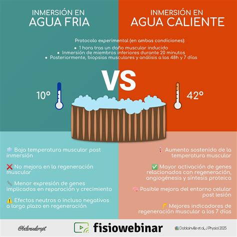 Infografía sobre los efectos de la inmersión en agua fría en el cuerpo
