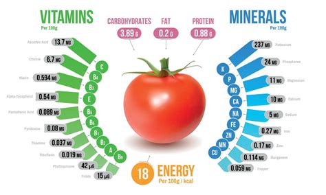 Diagrama de nutrientes en verduras