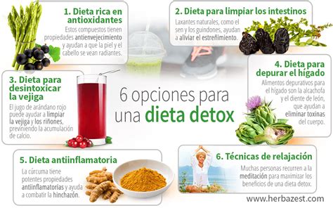 Infografía: Componentes de una dieta detox