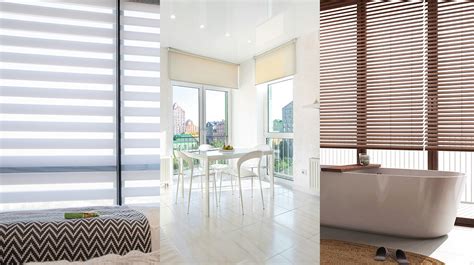 Habitación con persianas bajadas y plantas
