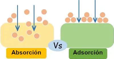 Diagrama comparativo de absorción y adsorción