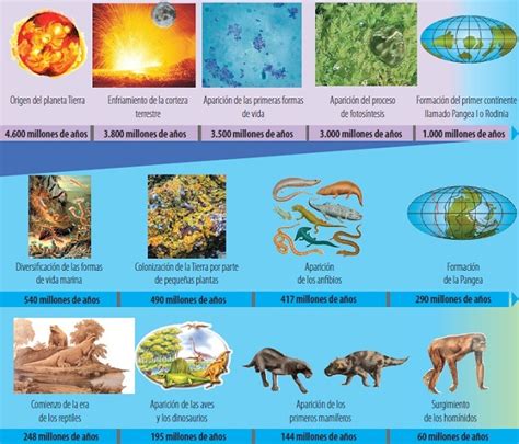 Esquema de la evolución de la vida en la Tierra